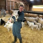gds manche soutenir mouton conseillere elevage