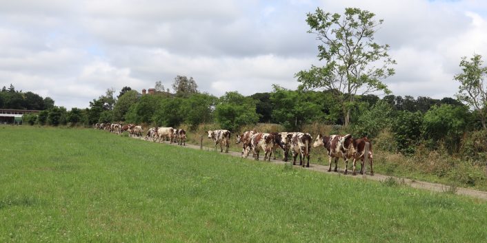 réunion section bovine octobre 2023 gds manche