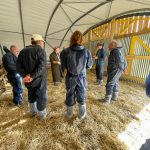 Formation ovine caprine gds 50