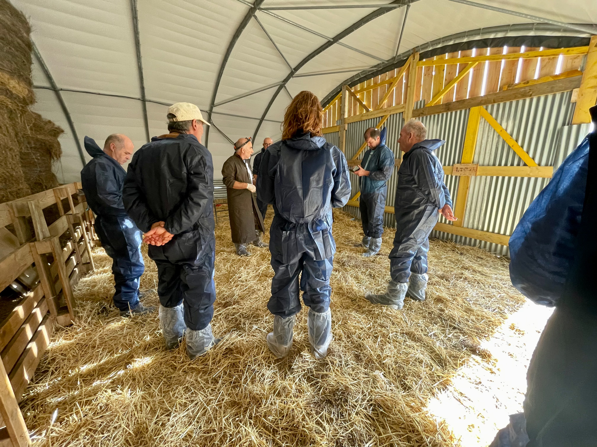 Formation ovine caprine gds 50