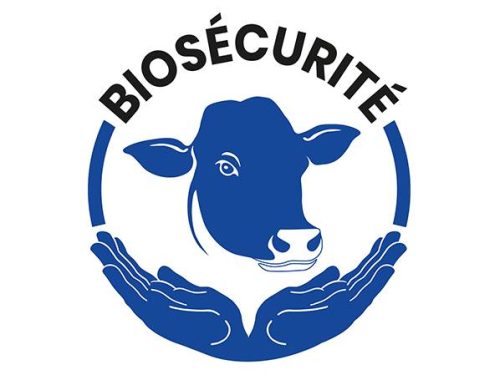 Vous élevez des bovins ? Nous avons besoin de vous