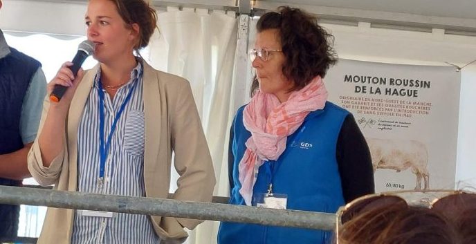 Vente de Roussin Jobourg GDS 50