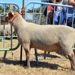 Concours Cotentin GDS 50