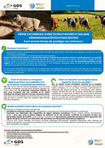 FCO et MHE : Il est encore temps de protéger vos animaux !
