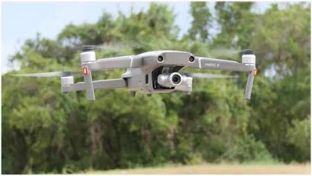 Botulisme GDS50