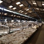 Pour une stabulation de 100 vaches, c’est plus de 2.000 litres de vapeur d’eau à évacuer chaque jour !