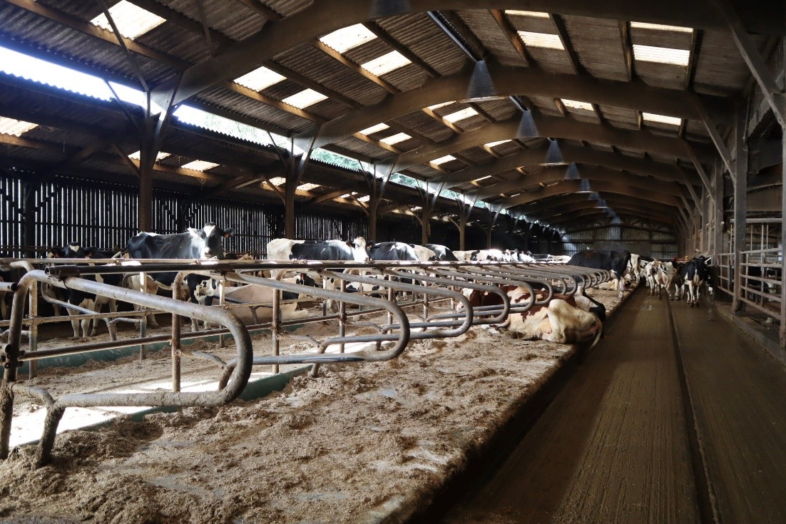 Pour une stabulation de 100 vaches, c’est plus de 2.000 litres de vapeur d’eau à évacuer chaque jour !