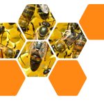 Invitation Journée des apiculteurs - 21 mars 2026 GDS50