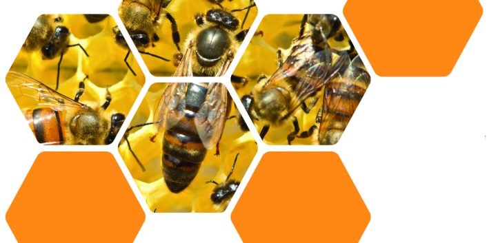 Invitation Journée des apiculteurs - 21 mars 2026 GDS50