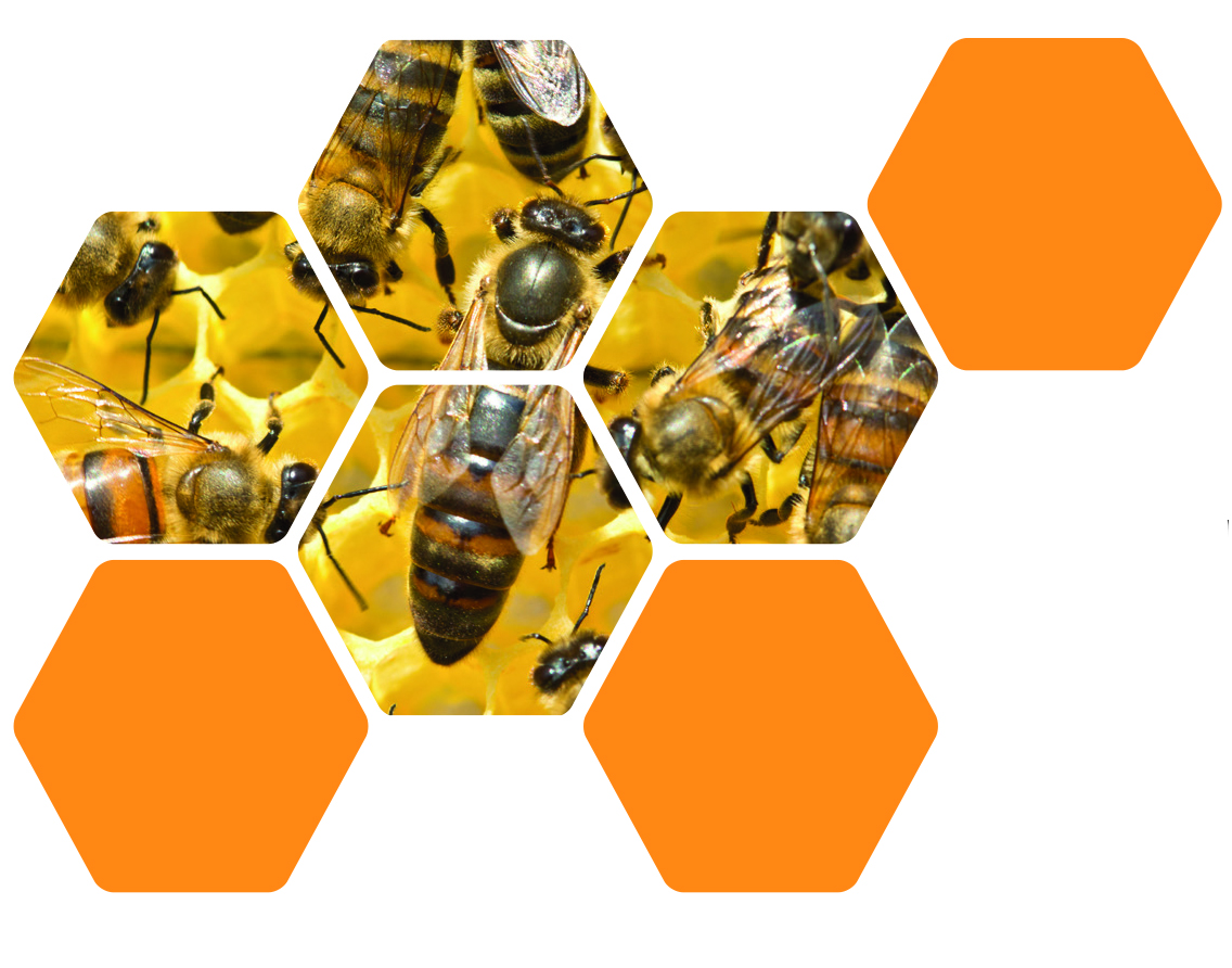 Invitation Journée des apiculteurs - 21 mars 2026 GDS50